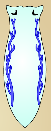 25.png